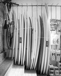 Surfboards