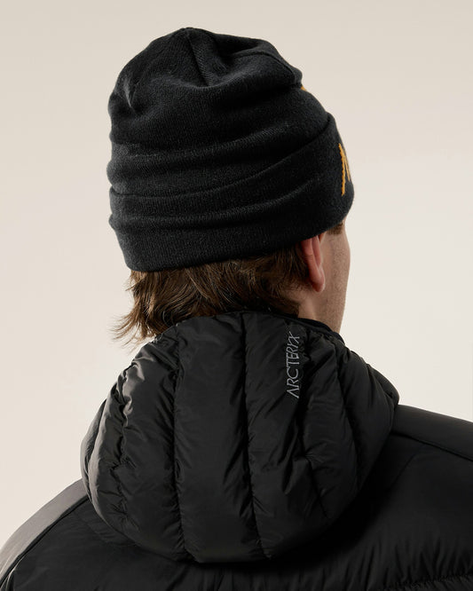 Arc'teryx Bird Word Toque 24K Black