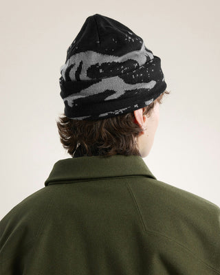 Arc'teryx Grotto Toque Black / Void