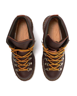 Danner Mountain Light Hiking Boot Brown