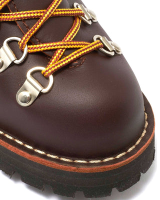 Danner Mountain Light Hiking Boot Brown