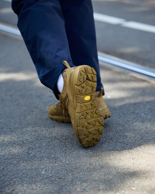 Danner Fullbore Coyote hiking shoes brown