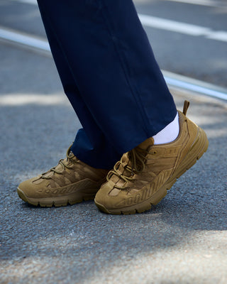 Danner Fullbore Coyote hiking shoes brown