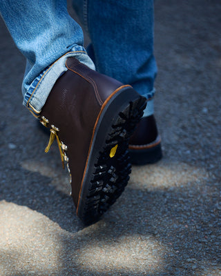 Danner Mountain Light Hiking Boot Brown