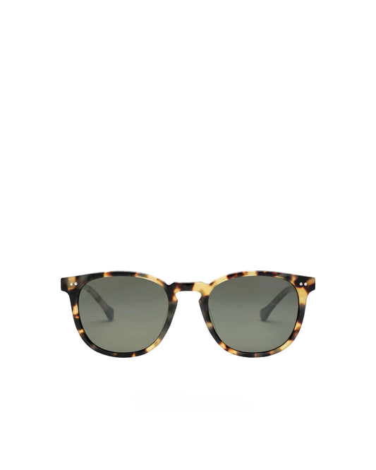 Electric Oak Gloss Spotted Tortoise / Grey Polarized