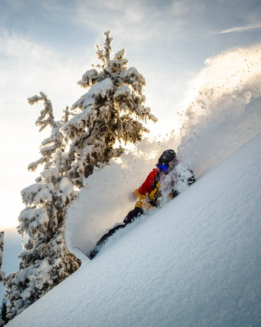 Fjell-Snowboards-MT_1180_Blair_white_base