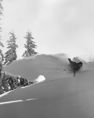 Korua Pencil [Brushed] Snowboard