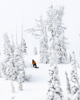 Lib Tech Mayhem Sweetfish 2026 Snowboard