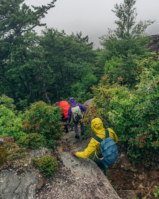 Patagonia Men's Torrentshell 3L Rain Jacket Caper Green