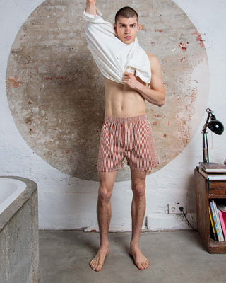 Pockies Boxer Terracotta Striped