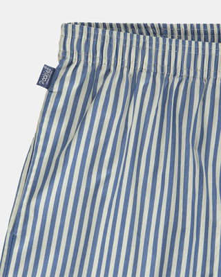 Pockies Boxer Blue Striped