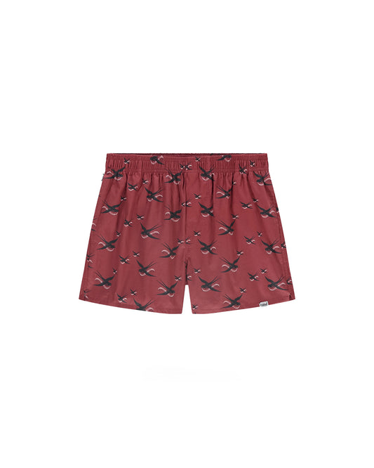 Pockies De Zwaluw x Pockies Brick