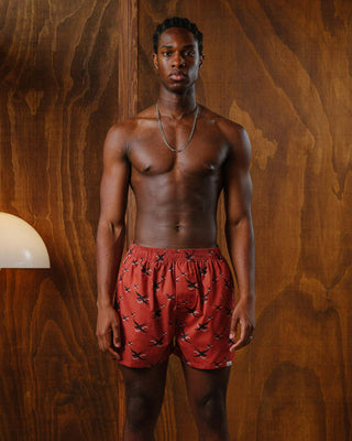 Pockies De Zwaluw x Pockies Brick