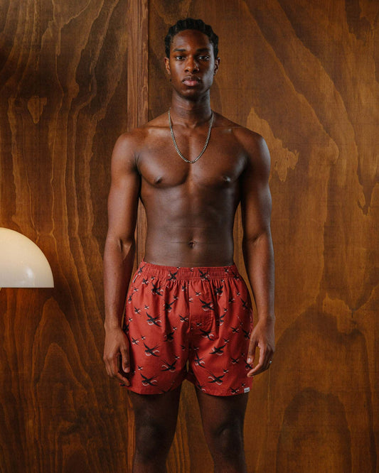 Pockies De Zwaluw x Pockies Brick