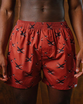 Pockies De Zwaluw x Pockies Brick