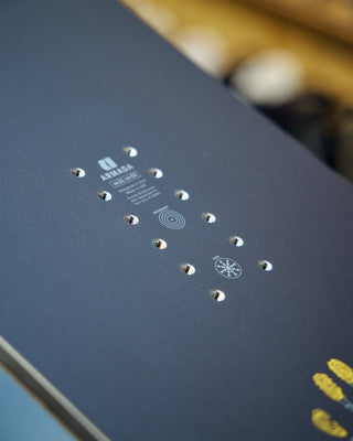 Armada The Beatnik LTD 2026 Snowboard