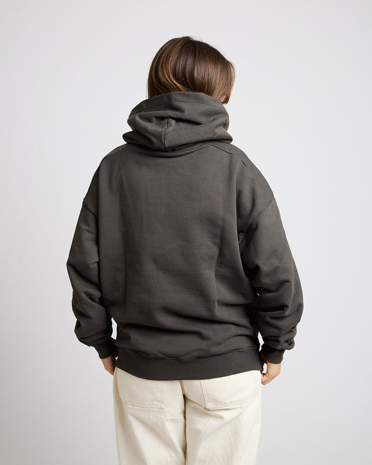 Behind The Pines Delta Hoodie Asphalt