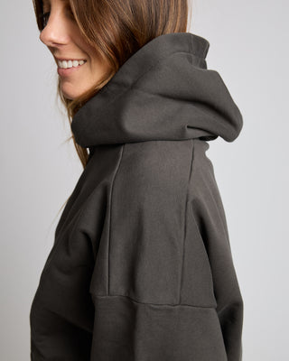 Behind The Pines Delta Hoodie Asphalt