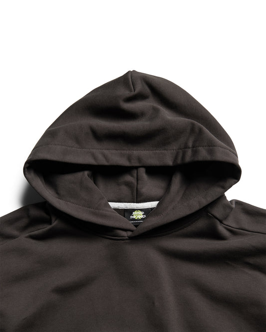 Behind The Pines Delta Hoodie Asphalt