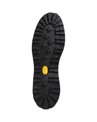 Danner Mountain Pass Black Glace