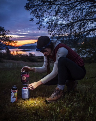 Danner Women's Mountain 600 Rich Brown Full Grain