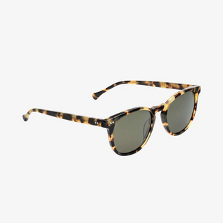 Electric Oak Gloss Spotted Tortoise / Grey Polarized