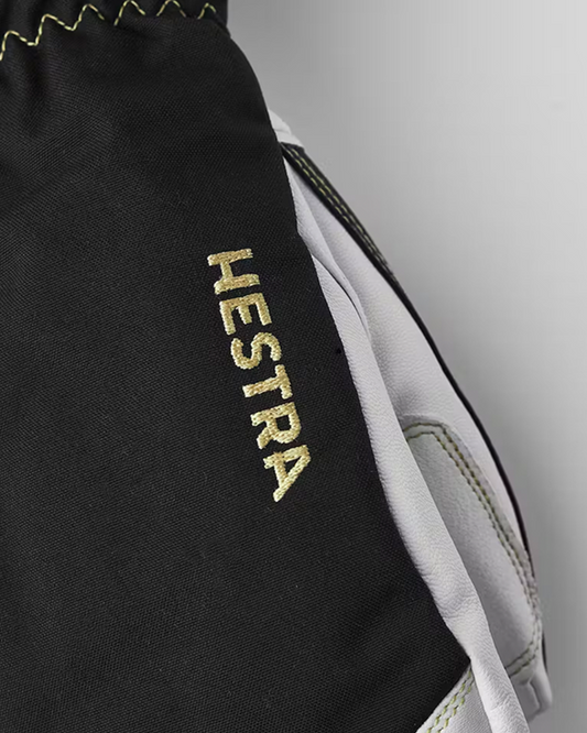 Hestra Army Leather Gore-Tex Mitt Black