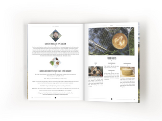 ILTS Surf & Travel Guide Northwest Europe Blue