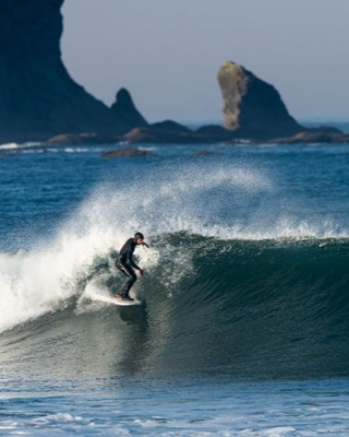 Lib Tech Hydra 5'11 Surfboard