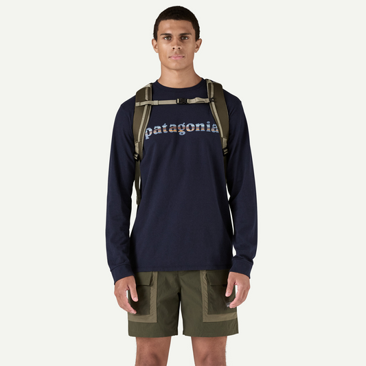 Patagonia Black Hole Pack 25L - Durable & Weather-Resistant - Basin Green