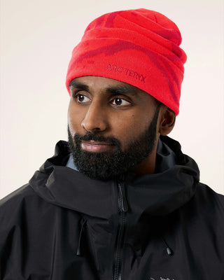 Arc'teryx Grotto Toque Dynasty / Dark Dynasty