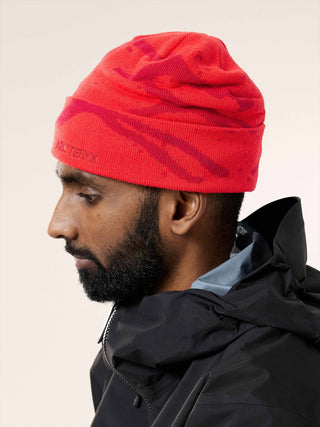 Arc'teryx Grotto Toque Dynasty / Dark Dynasty