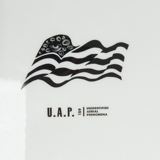 Sims UAP 2025 Snowboard